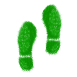 wolf-footprint wolf-footprint
